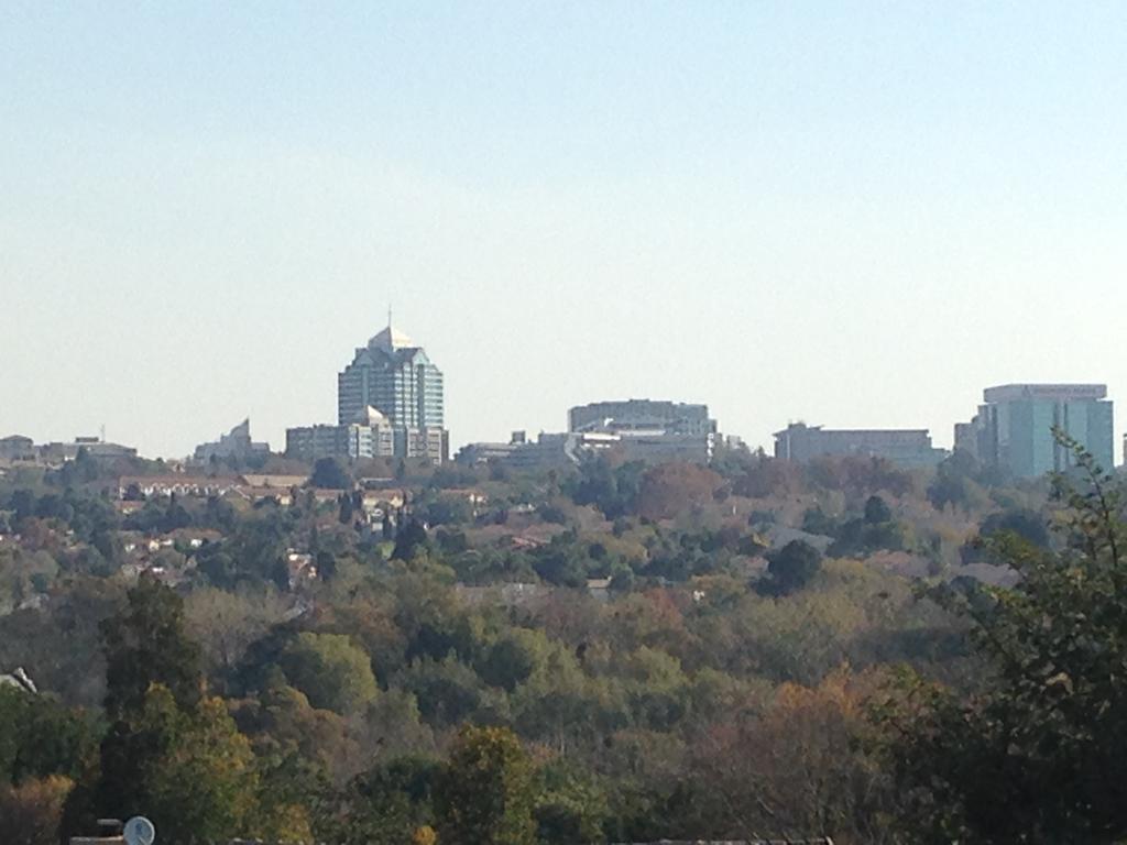 Sandown Estate Apartment Johannesburg Dış mekan fotoğraf